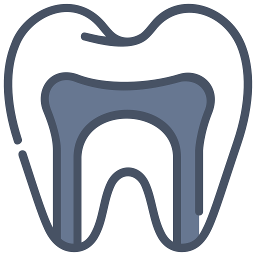 Tooth with roots highlighted